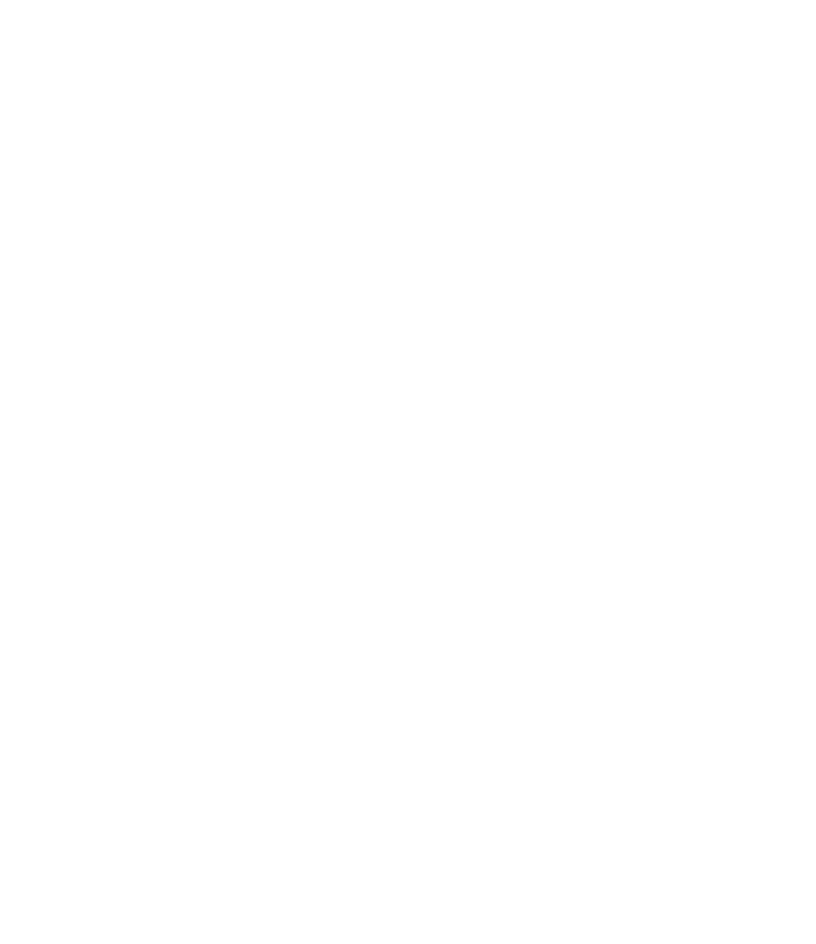Geis Studio
